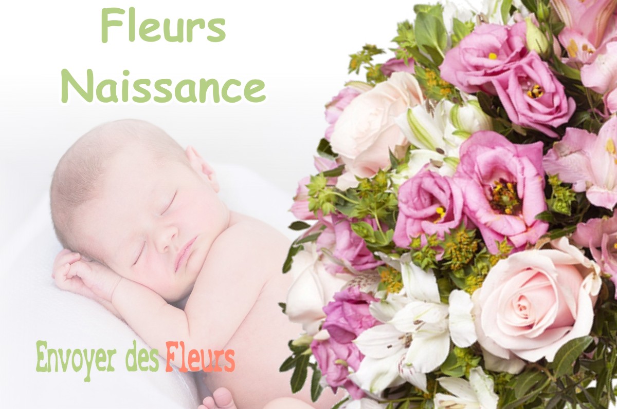 lIVRAISON FLEURS NAISSANCE à AUTRANS